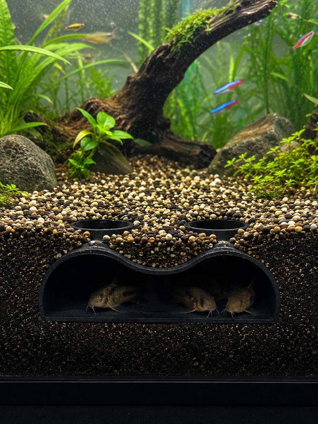 Gestaltetes Aquarium
